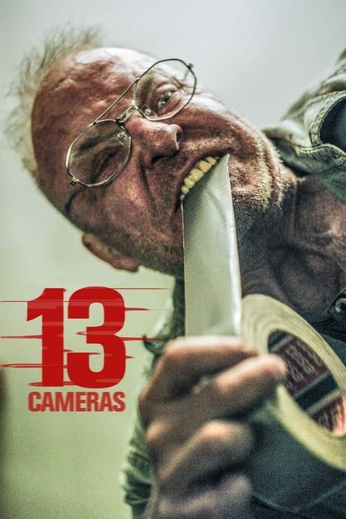 13 Cameras afişi