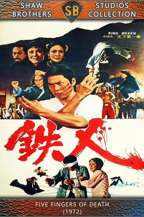 天下第一拳 afişi