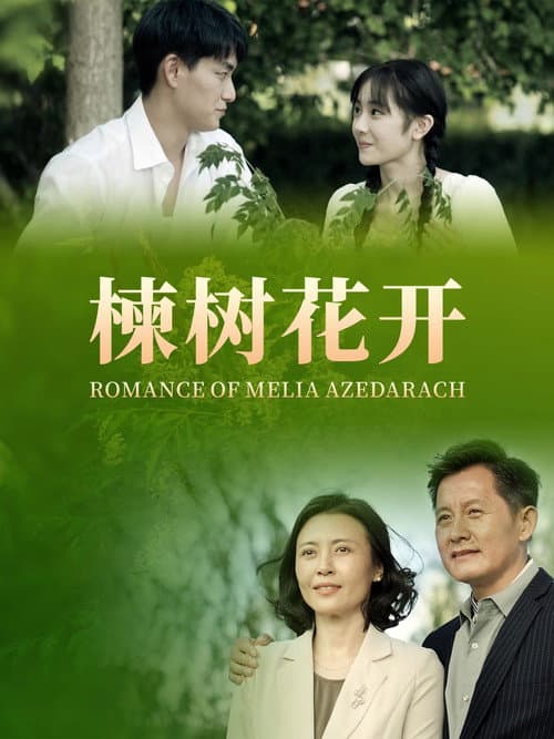 楝树花开 afişi