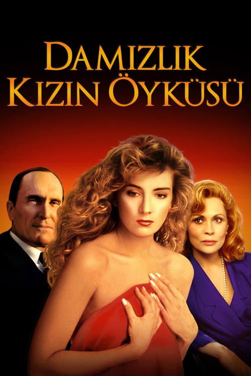Damızlık Kızın Öyküsü afişi