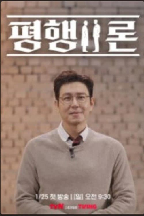 평행이론 afişi