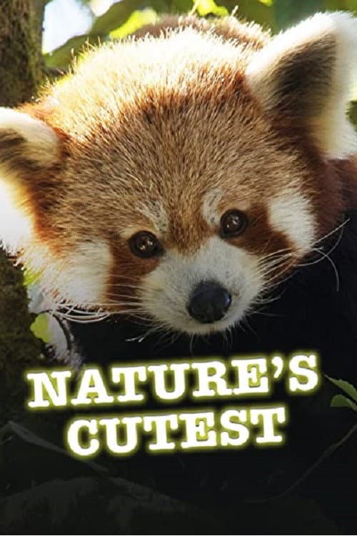 Nature's Cutest afişi