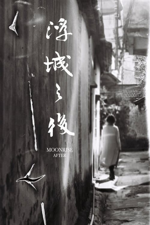 浮城之後 afişi
