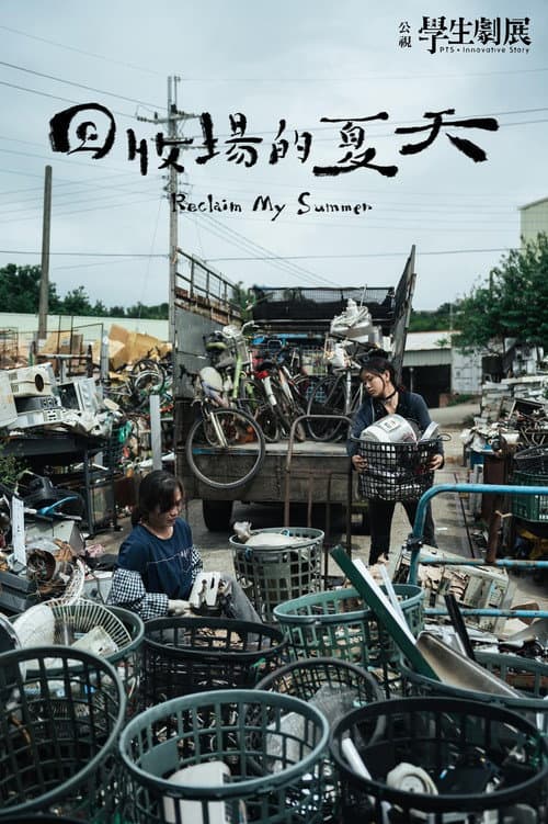 回收場的夏天 afişi