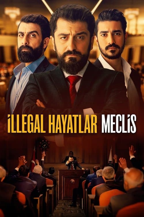 İllegal Hayatlar: Meclis afişi