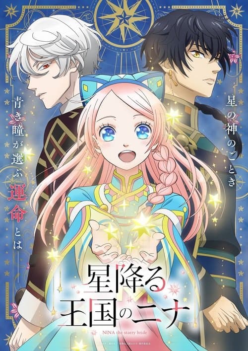 星降る王国のニナ afişi