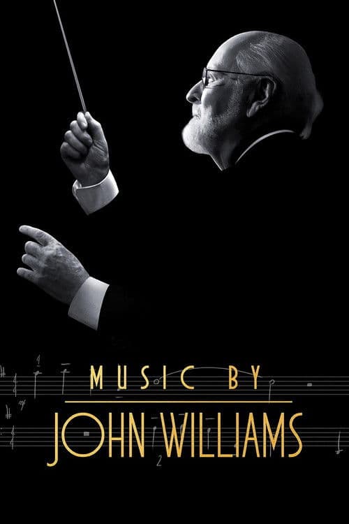 Music by John Williams afişi