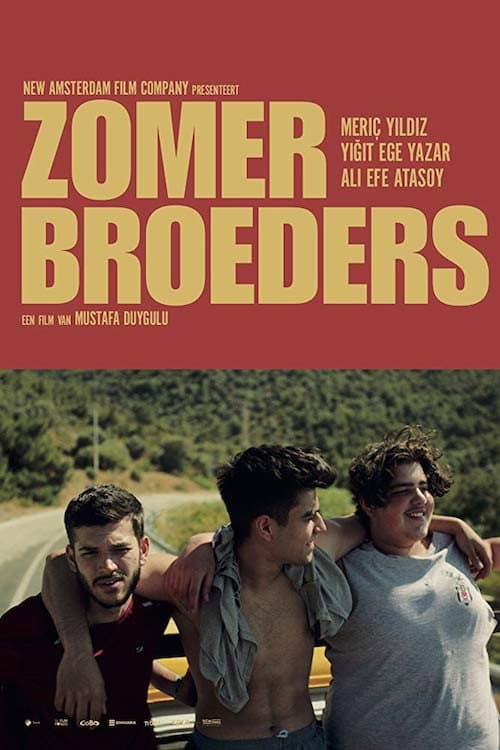 Zomerbroeders afişi