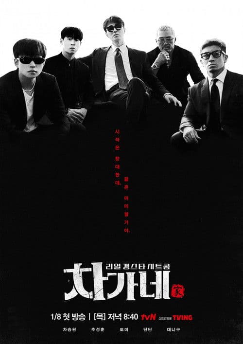 차가네 afişi