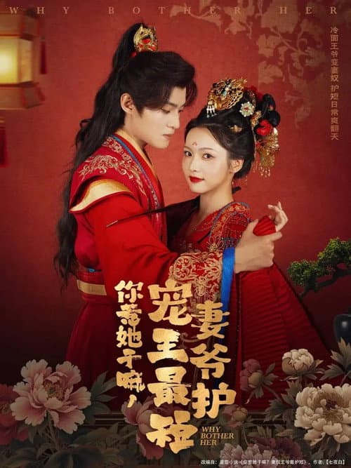 你惹她干嘛，宠妻王爷最护短 afişi