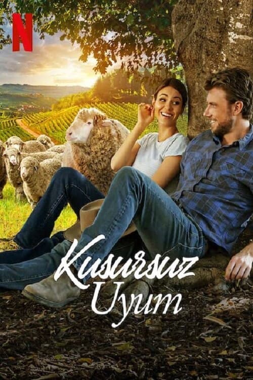 Kusursuz Uyum afişi