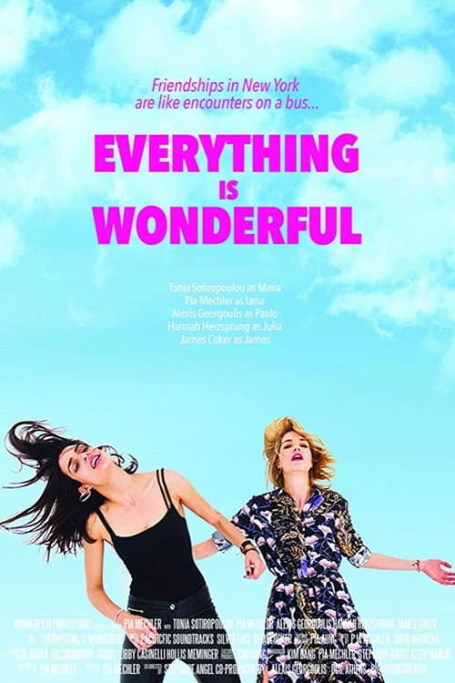 Everything is Wonderful afişi