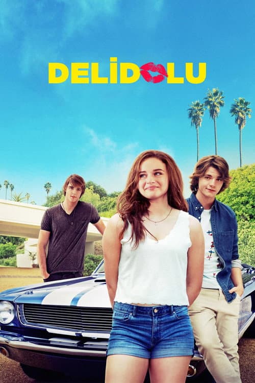 Delidolu afişi