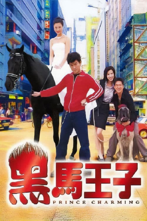 黑馬王子 afişi