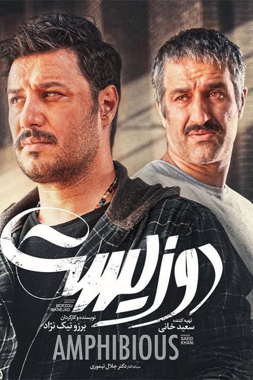 دوزیست afişi