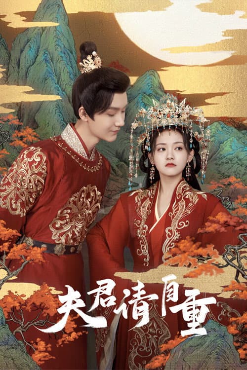 夫君，请自重 afişi
