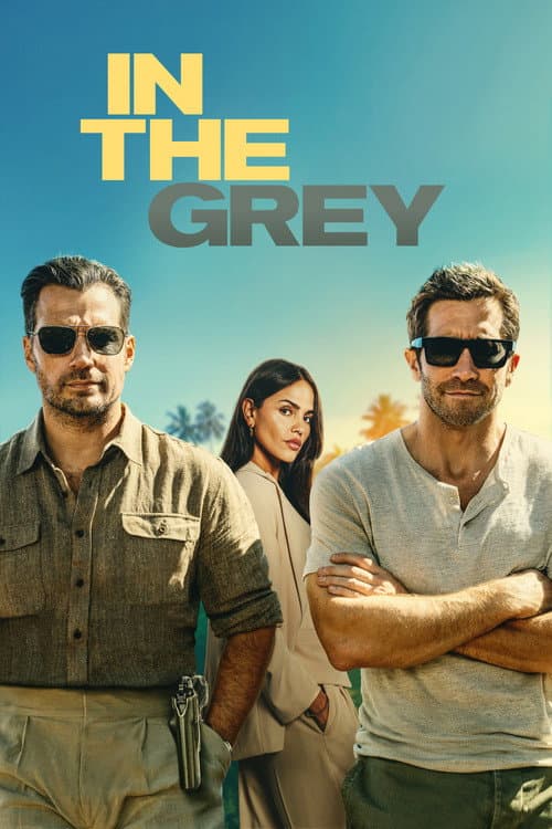 In the Grey afişi
