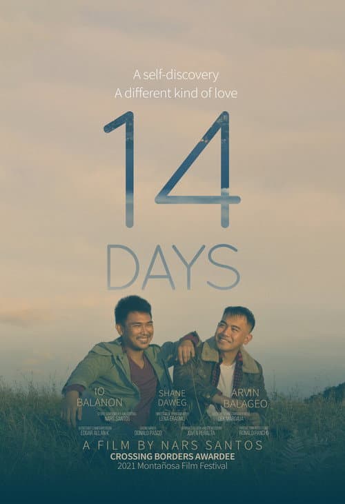 14 Days afişi