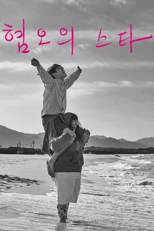혐오의 스타 afişi