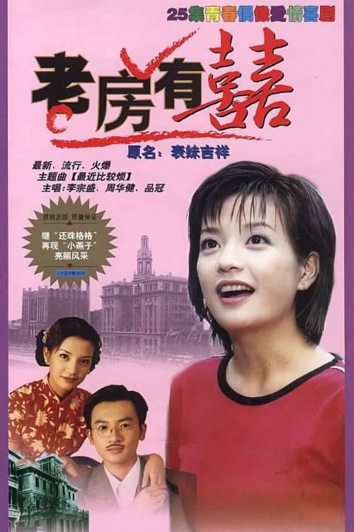 老房有喜 afişi