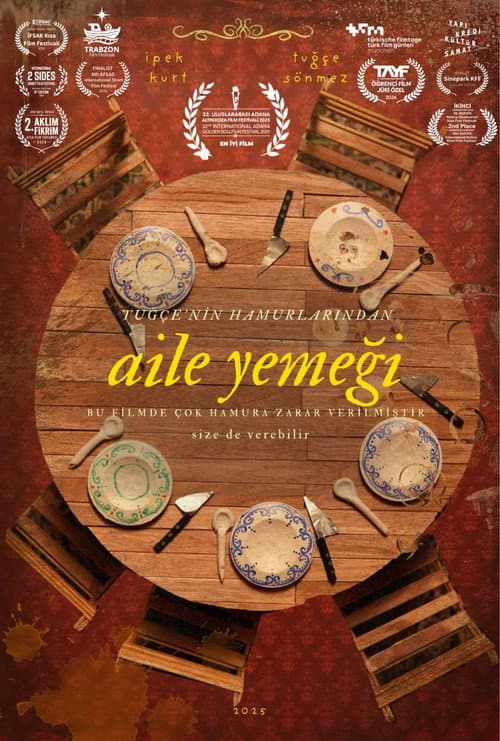 Aile Yemeği afişi