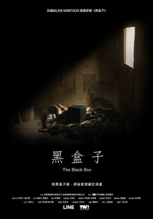 黑盒子 afişi