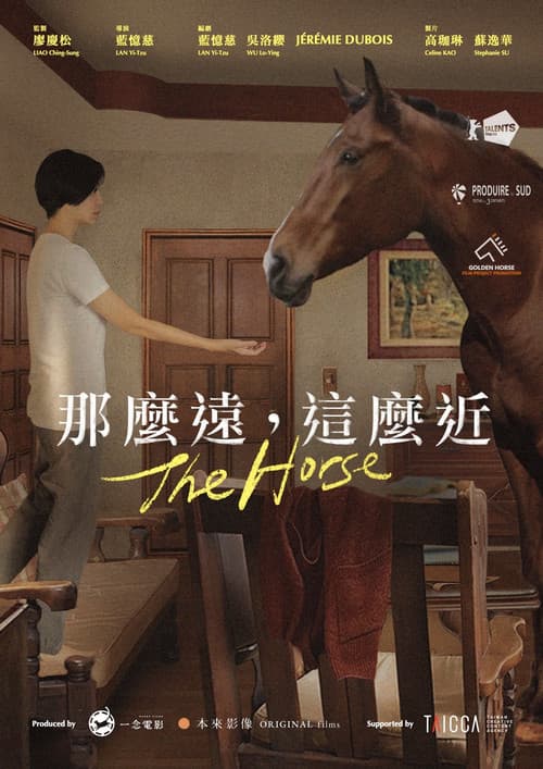 那麼遠,這麼近 afişi