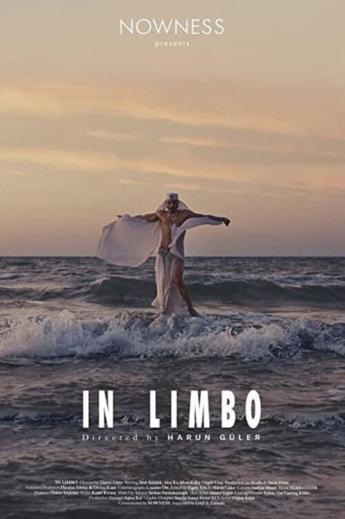 In Limbo afişi