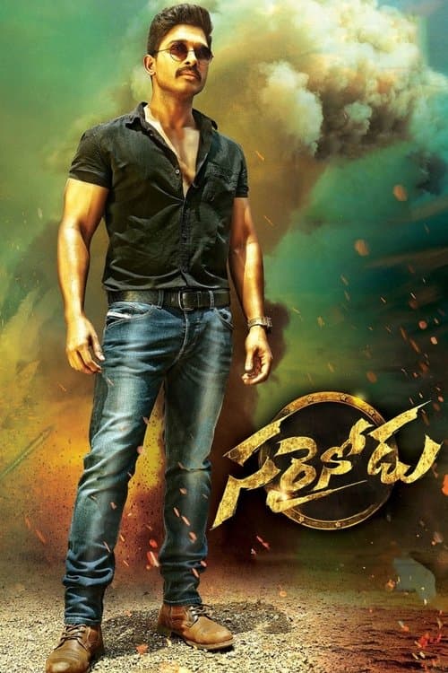 సరైనోడు afişi