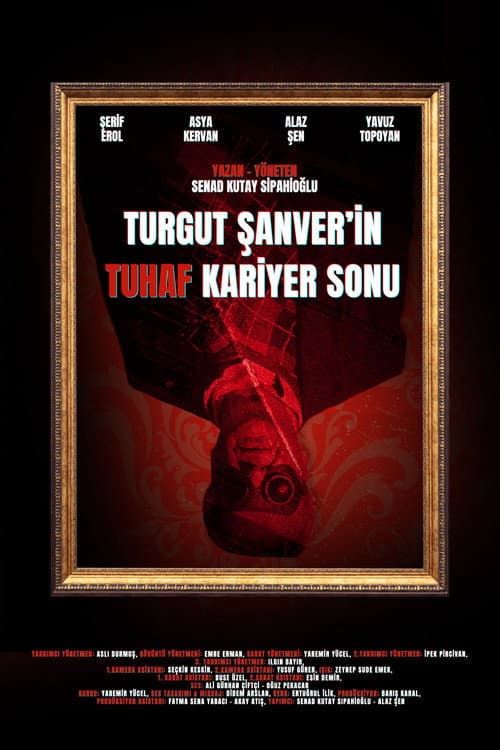 Turgut Şanver'in Tuhaf Kariyer Sonu afişi