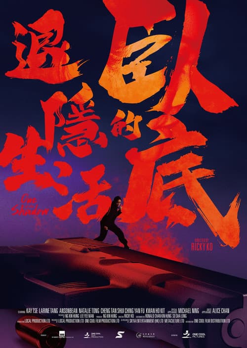 臥底的退隱生活 afişi