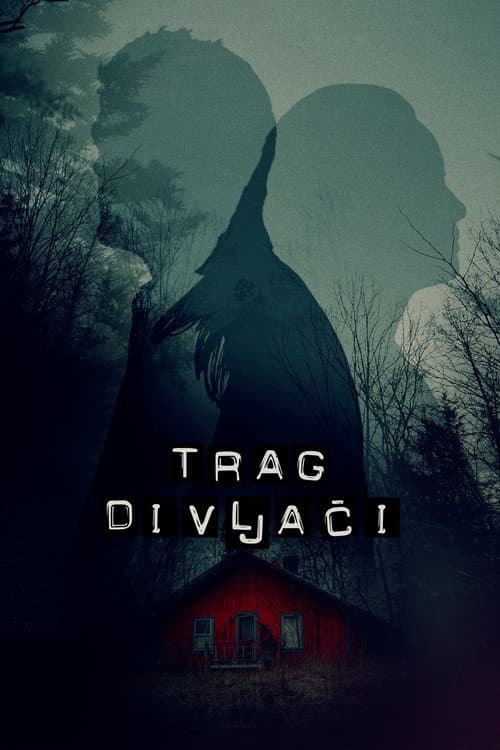 Траг дивљачи afişi