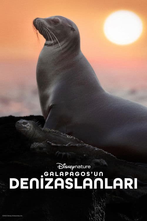 Galapagos'un Denizaslanları afişi