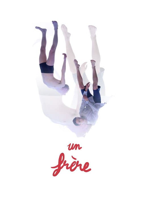 Un frère afişi
