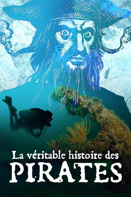 La Véritable histoire des pirates afişi