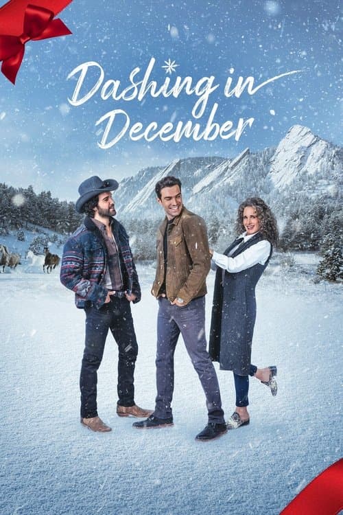 Dashing in December afişi