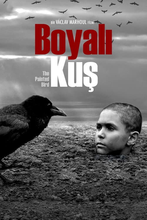 Boyalı Kuş afişi