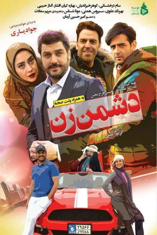 دشمن زن afişi