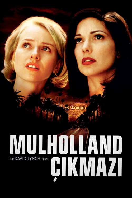 Mulholland Çıkmazı afişi
