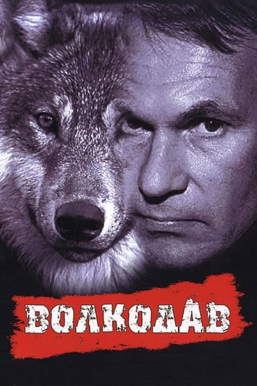 Волкодав afişi
