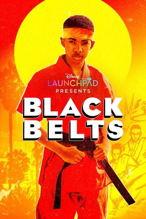 Black Belts afişi