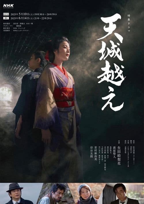 天城越え afişi