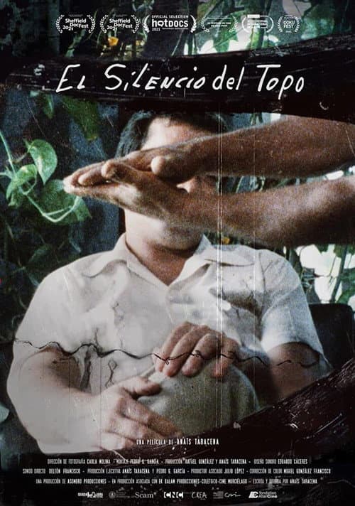 El silencio del topo afişi
