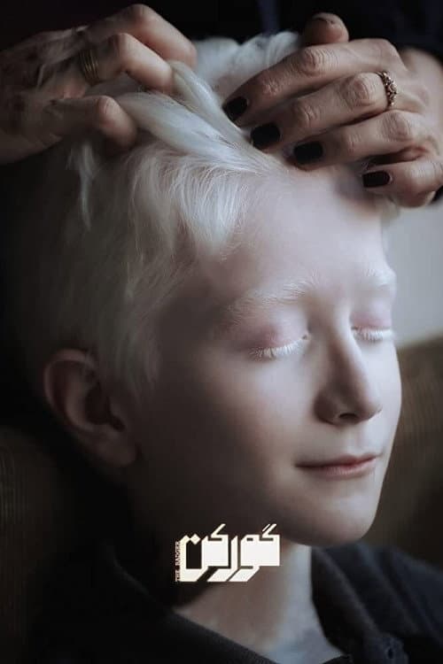 گورکن afişi