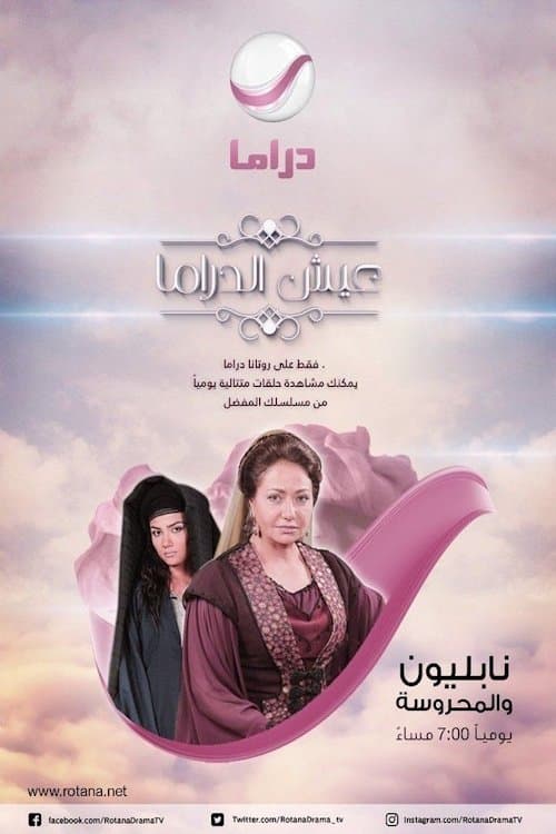 نابليون والمحروسة afişi