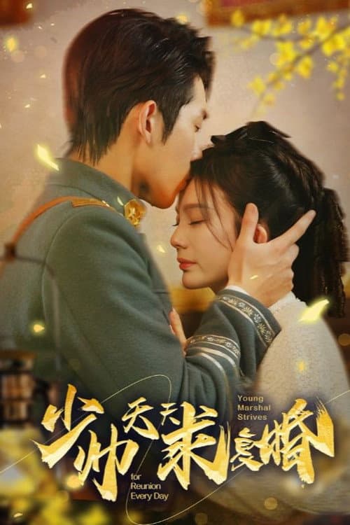 少帅天天求复婚 afişi