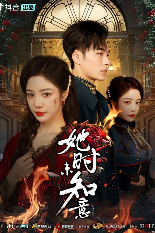她时未知意 afişi