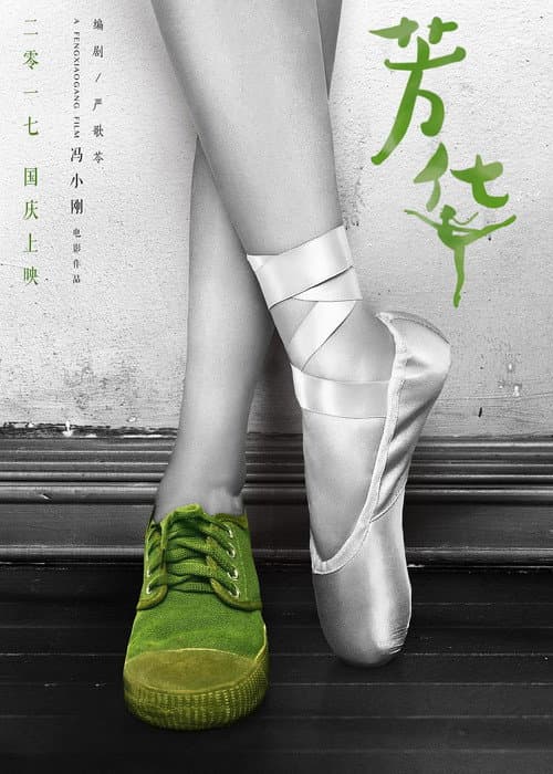 芳华纪录片：我把芳华献给你 afişi