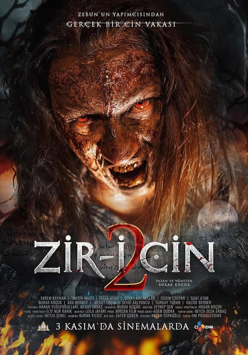 Zir-i Cin 2 afişi