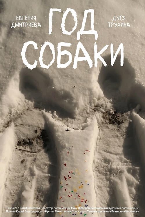 Год собаки afişi